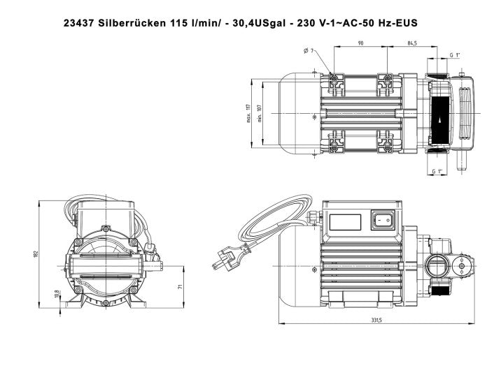 FMT Dieselpumpe 115 l/min 230V